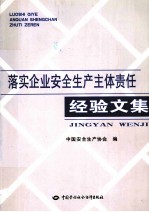 落实企业安全生产主体责任经验文集