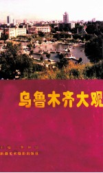 乌鲁木齐大观