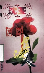 沈亚作品系列 红尘摆渡人