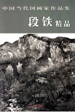 中国当代国画家作品集 段铁精品