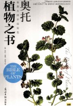 植物之书 奥托手绘经典