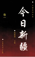 今日新疆 卷1
