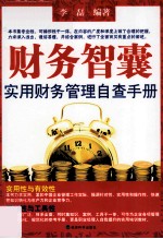 财务智囊 实用财务管理自查手册