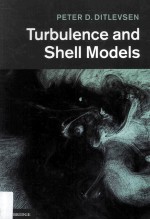 TURBULENCE AND SHELL MODELS
