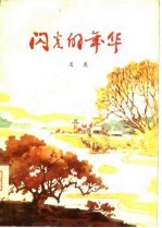 闪光的年华