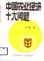 中国农业经济十大问题