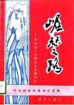 崛起之路 桂林地区乡镇企业发展纪实