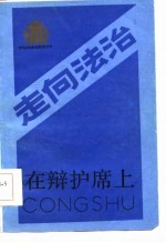 在辩护席上