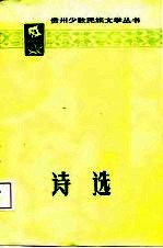 诗选