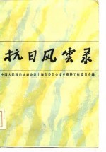 抗日风云录 下