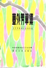 塞外芳草集 辽宁中短篇小说佳作选