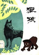 狼孩 对卡玛拉和阿玛拉的抚养日记