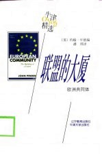 联盟的大厦 欧洲共同体