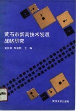 黄石市新高技术发展战略研究