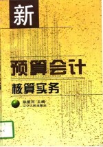 新预算会计核算实务