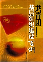 共青团基层组织建设百例