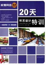 20天环艺设计特训 超值精编版