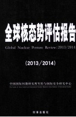 全球核态势评估报告 2013-2014
