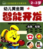 幼儿黄金期智能开发 左脑+右脑 2-3岁
