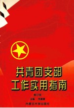 共青团支部工作实用指南 修订版