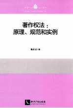 著作权法 原理、规范和实例