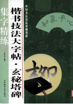 楷书技法大字帖 玄秘塔碑