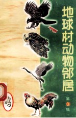 地球村动物邻居 第3辑 13 鸡