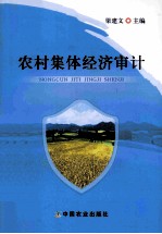 农村集体经济审计