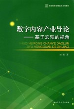 数字内容产业导论:基于宏观的视角