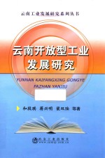 云南开放型工业发展研究