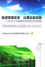 能源管理体系 从理论到实践 山东省企业能源管理体系建设案例