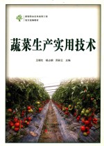 蔬菜生产实用技术