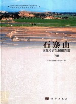 石寨山 文化考古发掘报告集 下