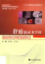 肝癌临床多学科综合诊断与鉴别诊断