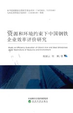 资源和环境约束下中国钢铁企业效率评价研究