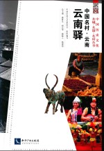 中国名村 云南云南驿