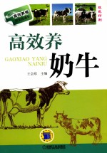 高效养奶牛 双色印刷
