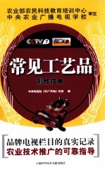 常见工艺品制作技术
