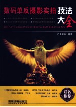 数码单反摄影实拍技法大全