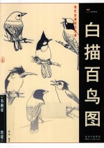 白描百鸟图