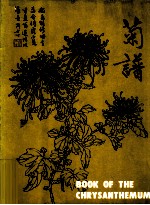 中国花卉画基础 菊谱