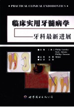 临床实用牙髓病学 牙科最新进展