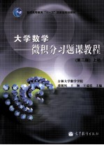 大学数学 微积分习题课教程 上