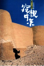 新天方夜谭 窥视中东