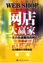网店大赢家 开个快速赚钱的网店