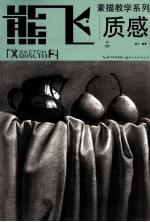 熊飞素描教学系列 质感