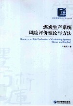 煤炭生产系统风险评价理论与方法