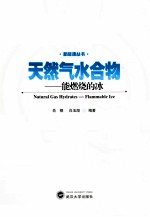 天然气水合物 能燃烧的冰