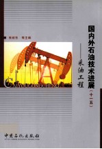 国内外石油技术进展 “十一五”采油工程