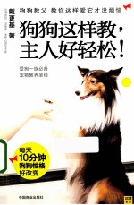 狗狗这样教，主人好轻松